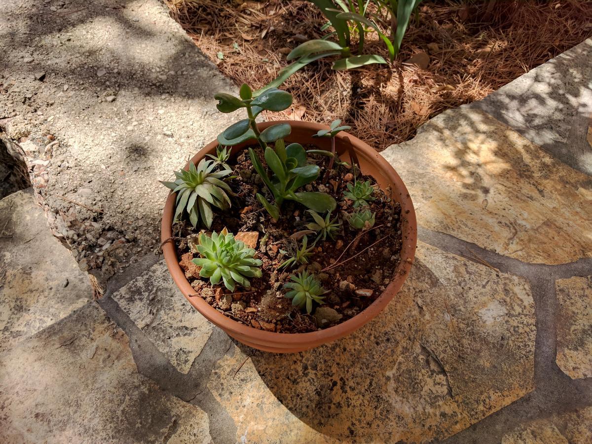 Apartmani Anja Sveta Nedelja  Luaran gambar